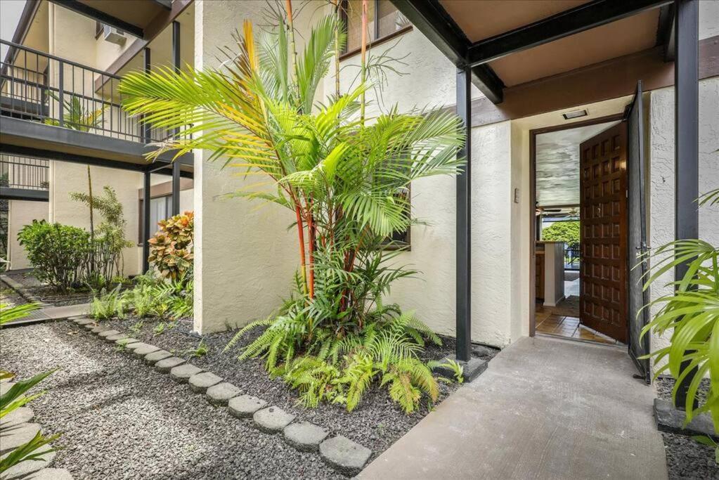 Beautiful 2/2 Condo In Kailua Kona. Ocean View! 외부 사진